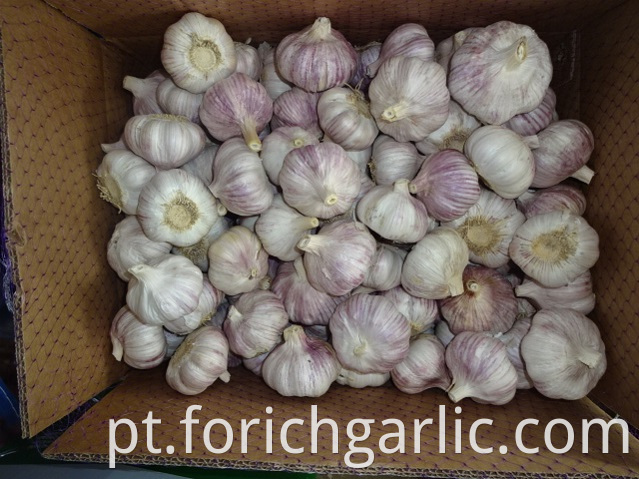High Quality New Normal White Garlic